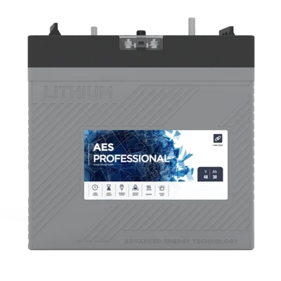 DSC AES Professional series LiFePO₄ battery